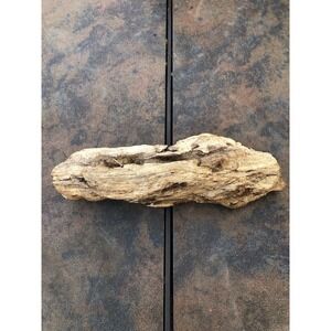 Natural Driftwood for Plants Terrarium Taxidermy Art Projects